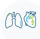 Lung and heart graphic
